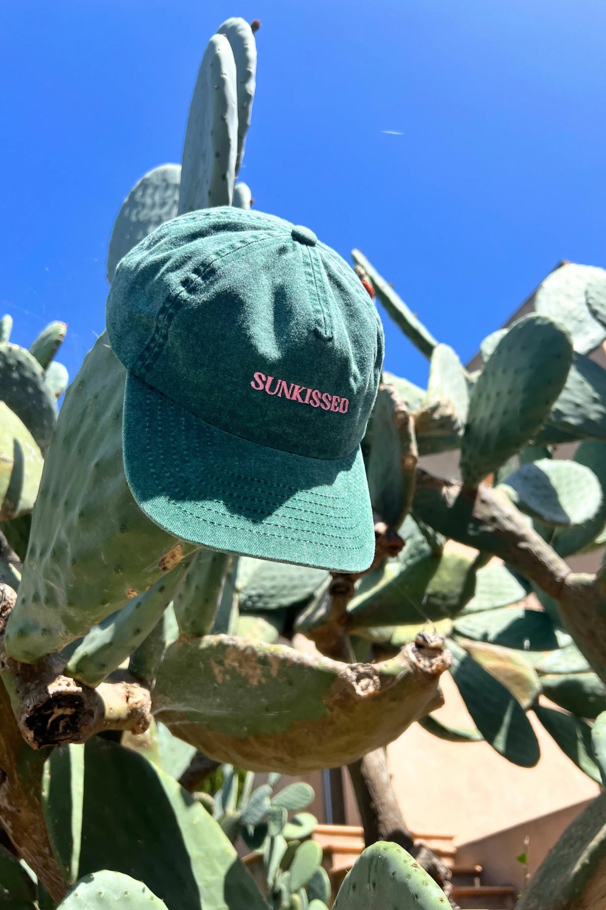 Vintage grüne Sunkissed Relaxed Cap von The Sunkissed Rebels mit pinker Stickerei zwischen Kakteen unter blauem Himmel