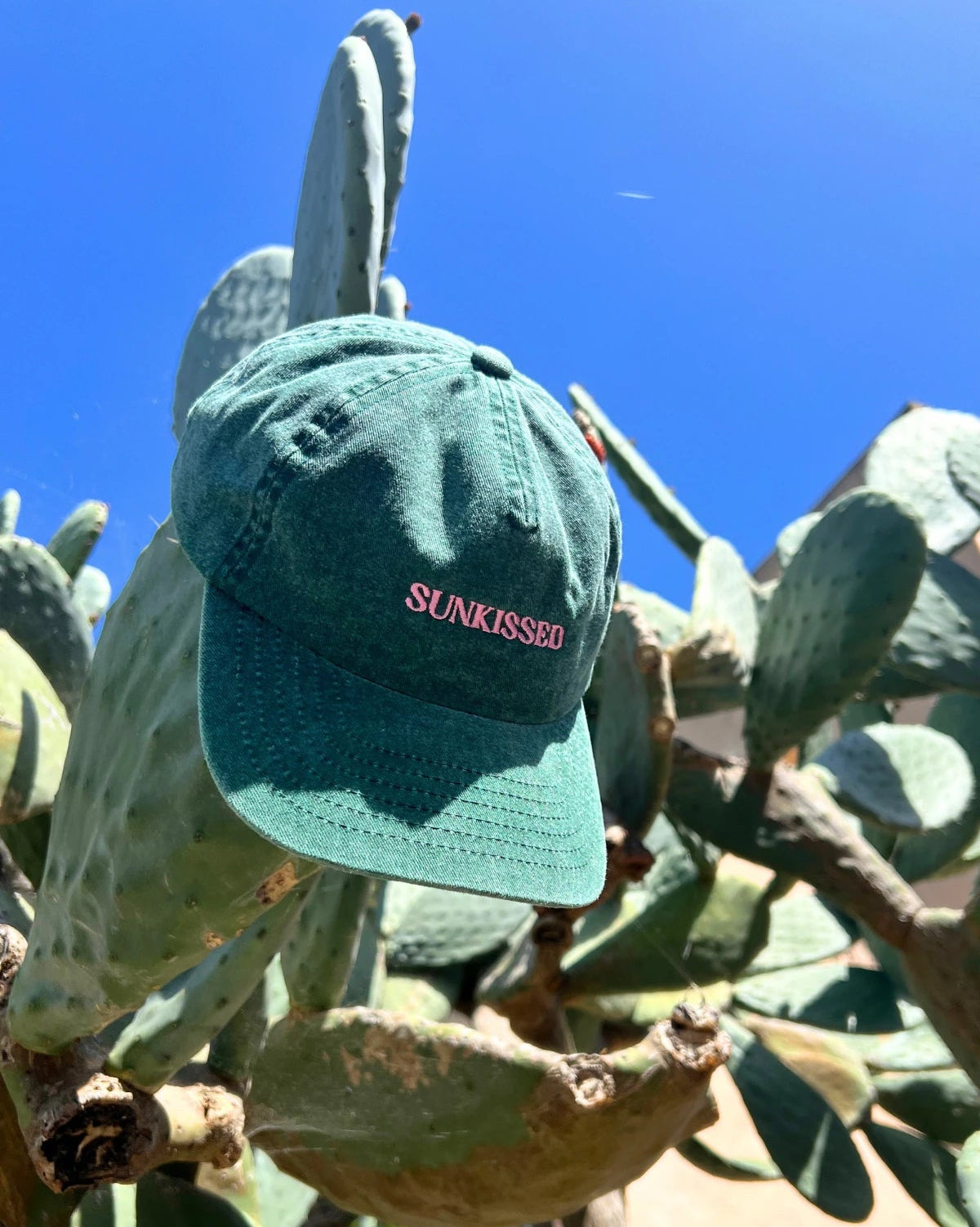 Vintage grüne Sunkissed Relaxed Cap von The Sunkissed Rebels mit pinker Stickerei zwischen Kakteen unter blauem Himmel