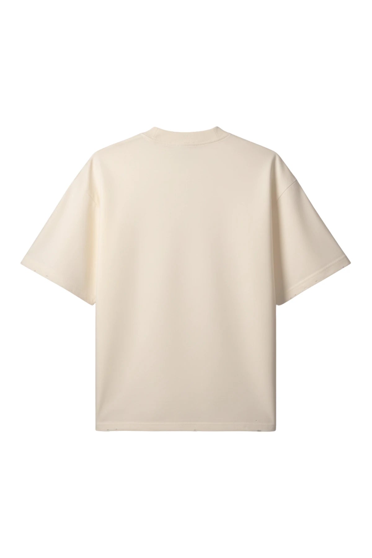 Rückansicht vom Sunkissed Light T Shirt Natural Raw in natürlicher Beige Farbe