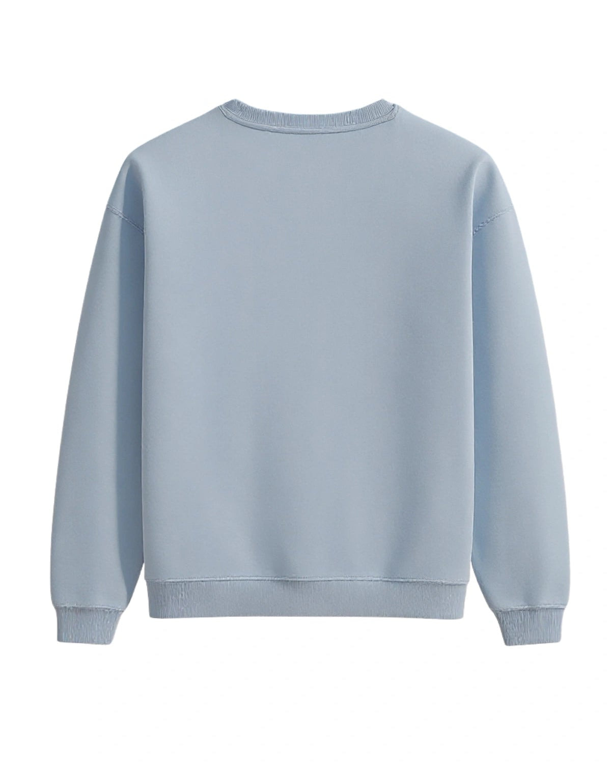 Rückansicht des himmelblauen The Sunkissed Rebels Sweaters in schlichtem Design ohne Aufdruck.