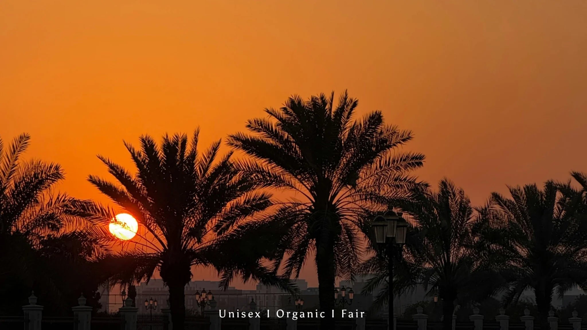 Palmen Silhouetten bei Sonnenuntergang mit orangefarbenem Himmel – nachhaltige Unisex Organic Fashion Brand Atmosphäre