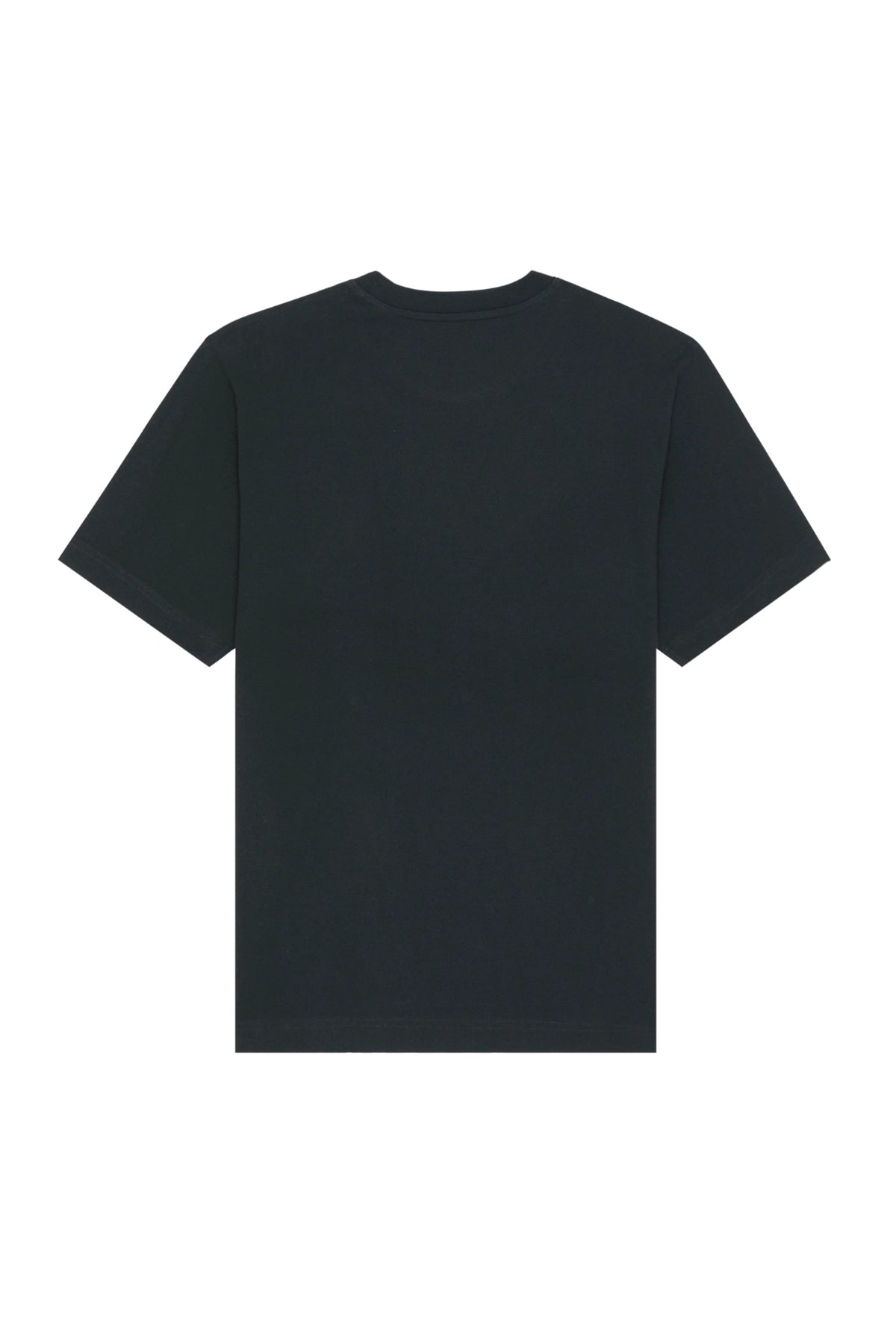 Rückansicht des schwarzen Basic-T-Shirts – Design von The Sunkissed Rebels