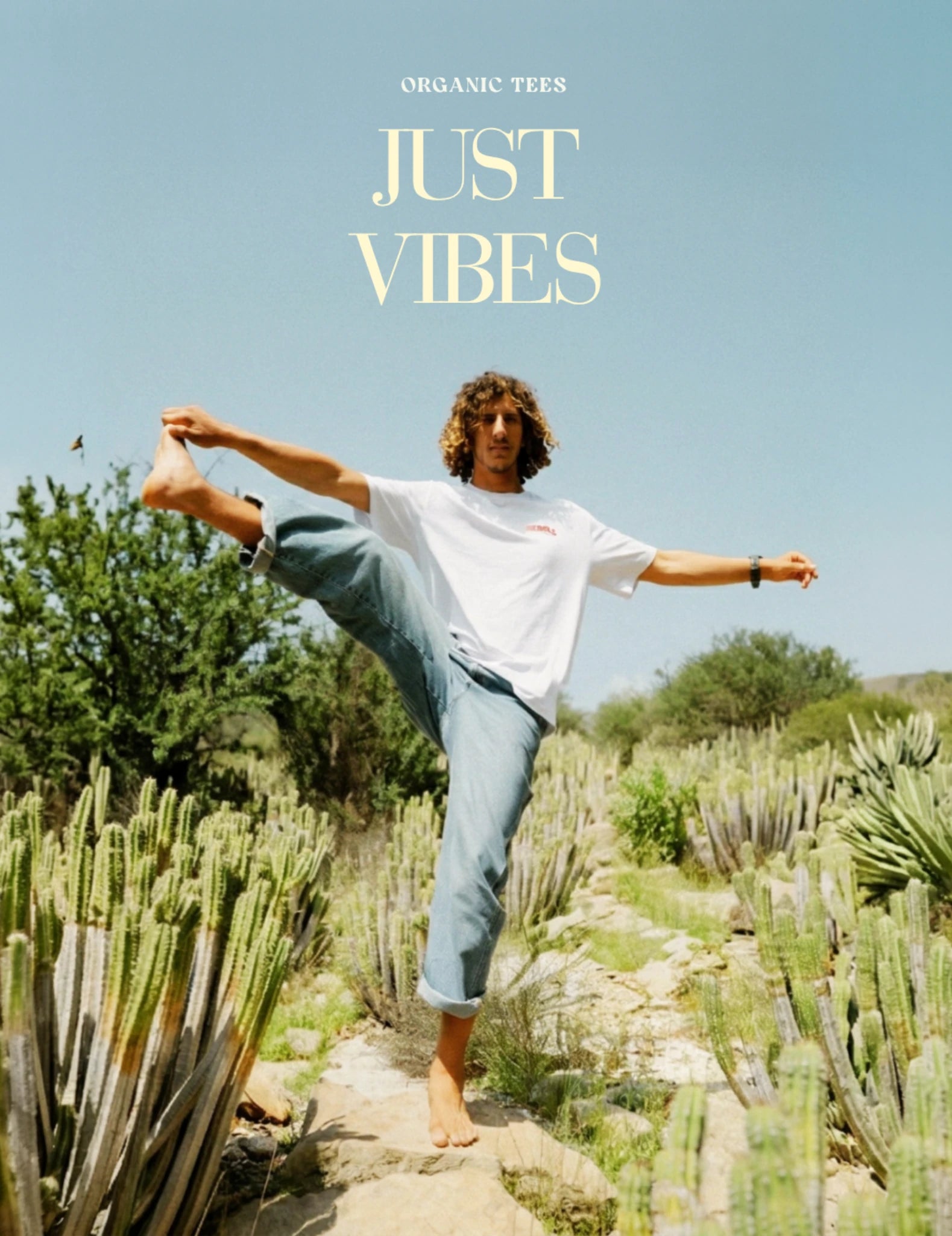 Person balanciert auf einem Weg zwischen Kakteen, trägt weißes T-Shirt, sommerlicher Organic Tees Lifestyle, warme Farben und Natur