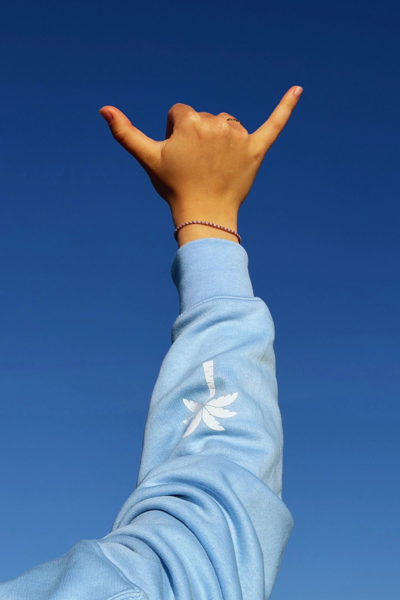 Detailaufnahme eines blauen Hoodies mit Palmenlogo auf dem Ärmel vor blauem Himmel